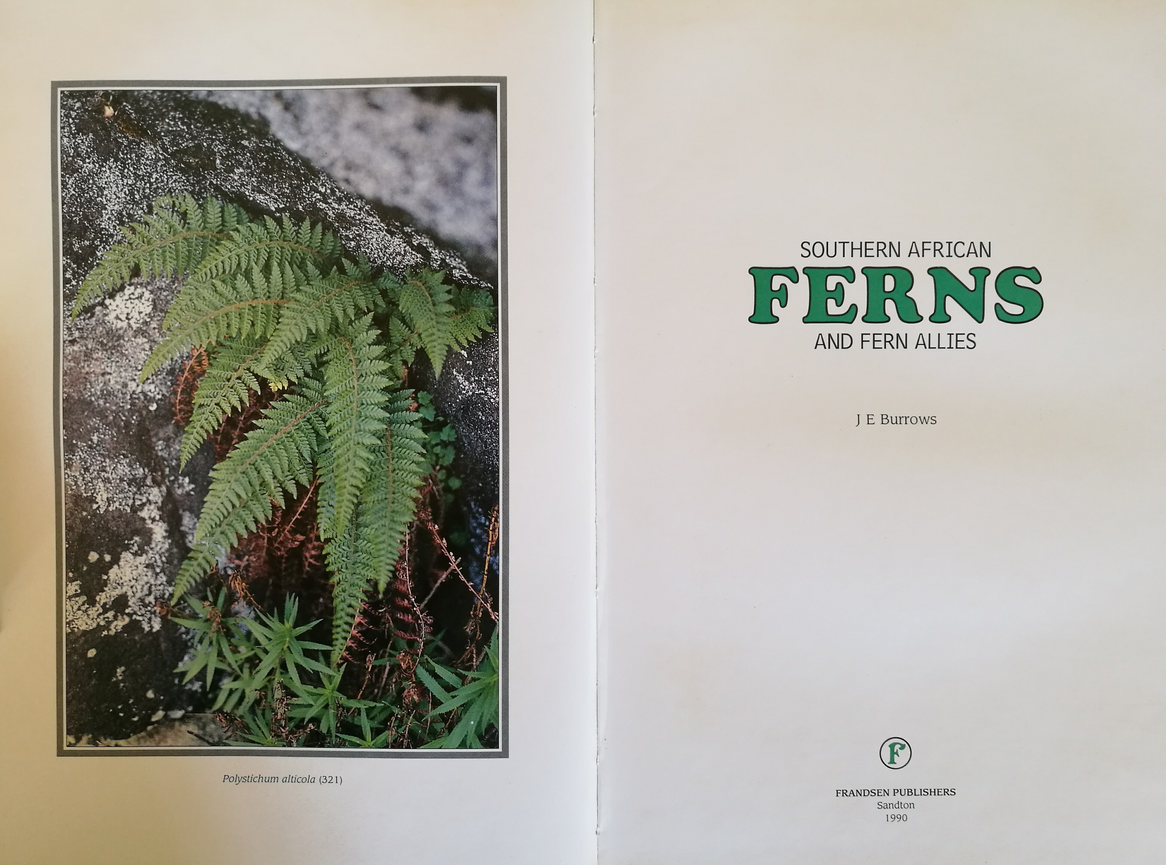 Southern African Ferns And Fern Allies - Auction #77 ...