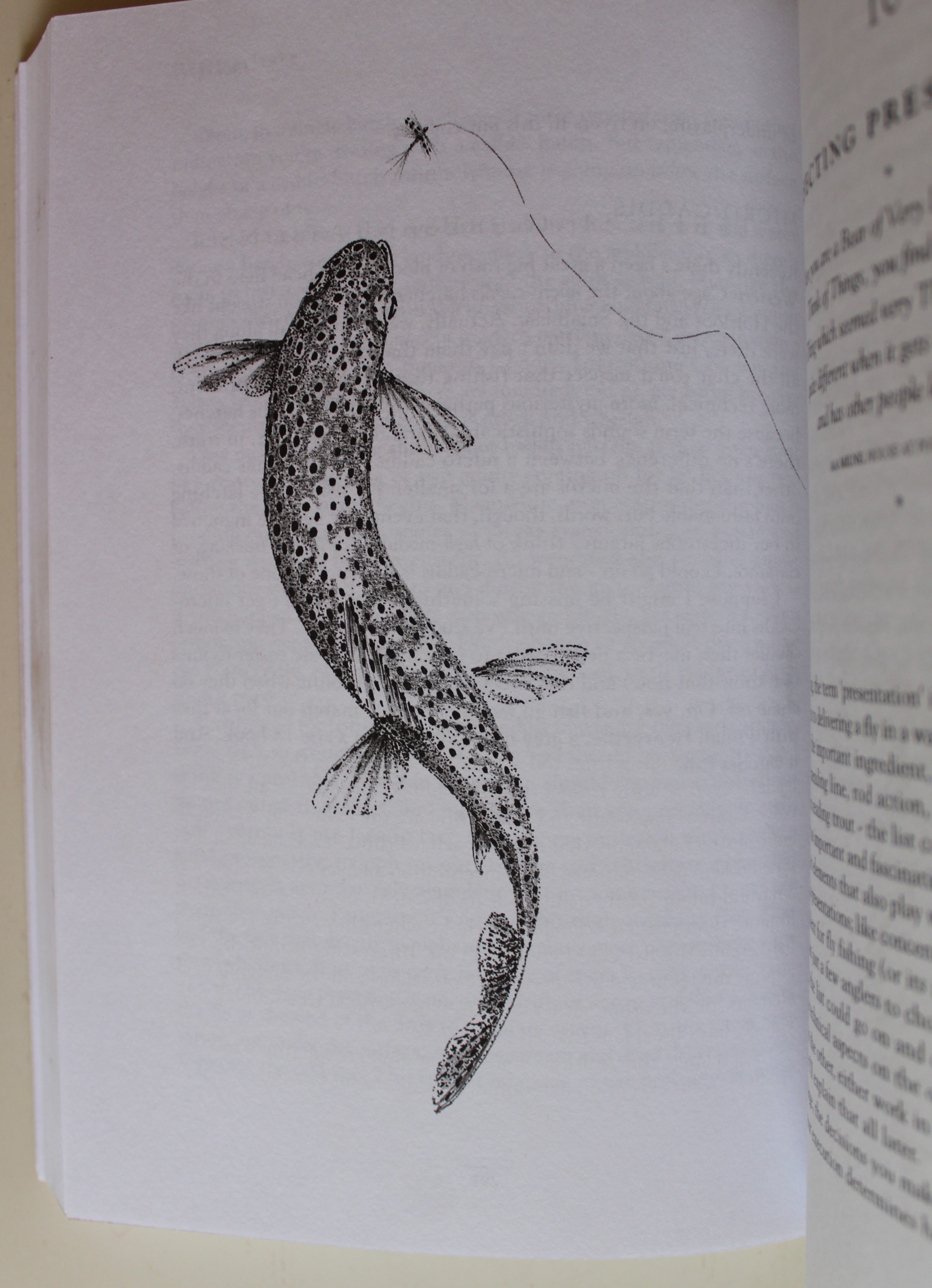 Hunting Trout Auction 79