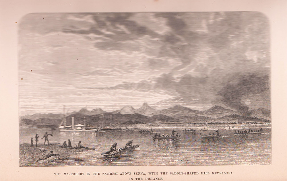 Narrative Of An Expedition To The Zambezi & Its Tributaries Auction