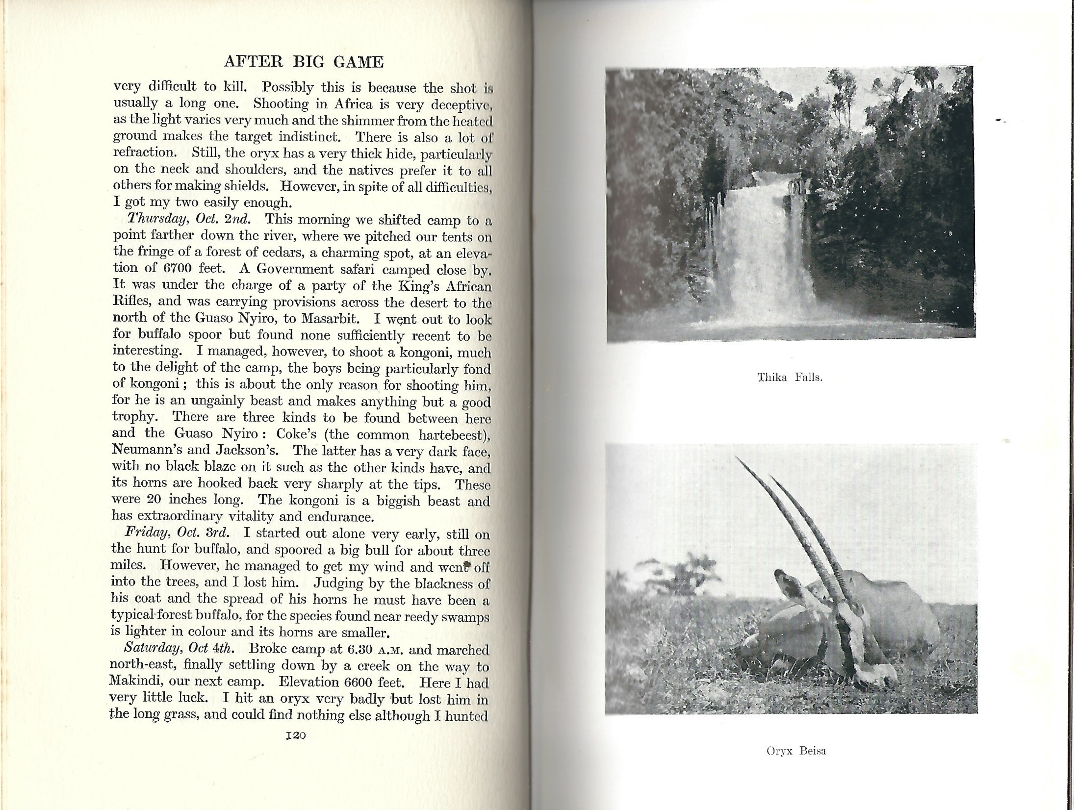 After Big Game Auction 84