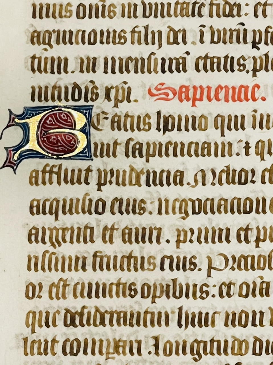 Illuminated Manuscript Leaf In Latin On Velum, Includes St. John, I Am The Vine, You Are The