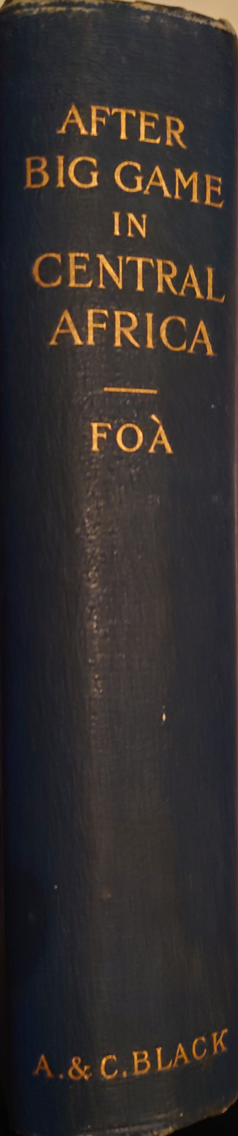 After Big Game In Central Africa Auction 95