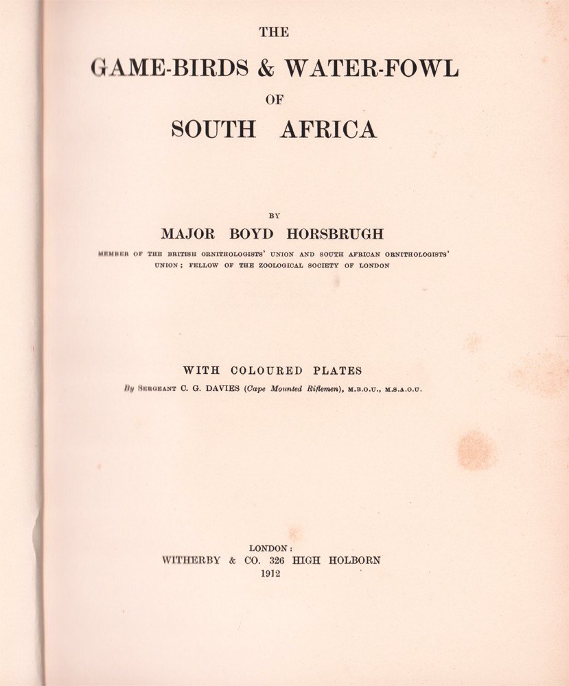 The Game birds Water fowl Of South Africa Auction 102 the-game-birds-water-fowl-of-south-africa-auction-102