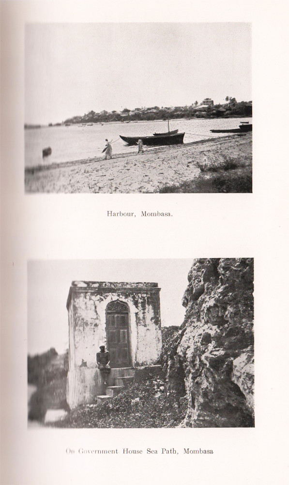 After Big Game Auction 108