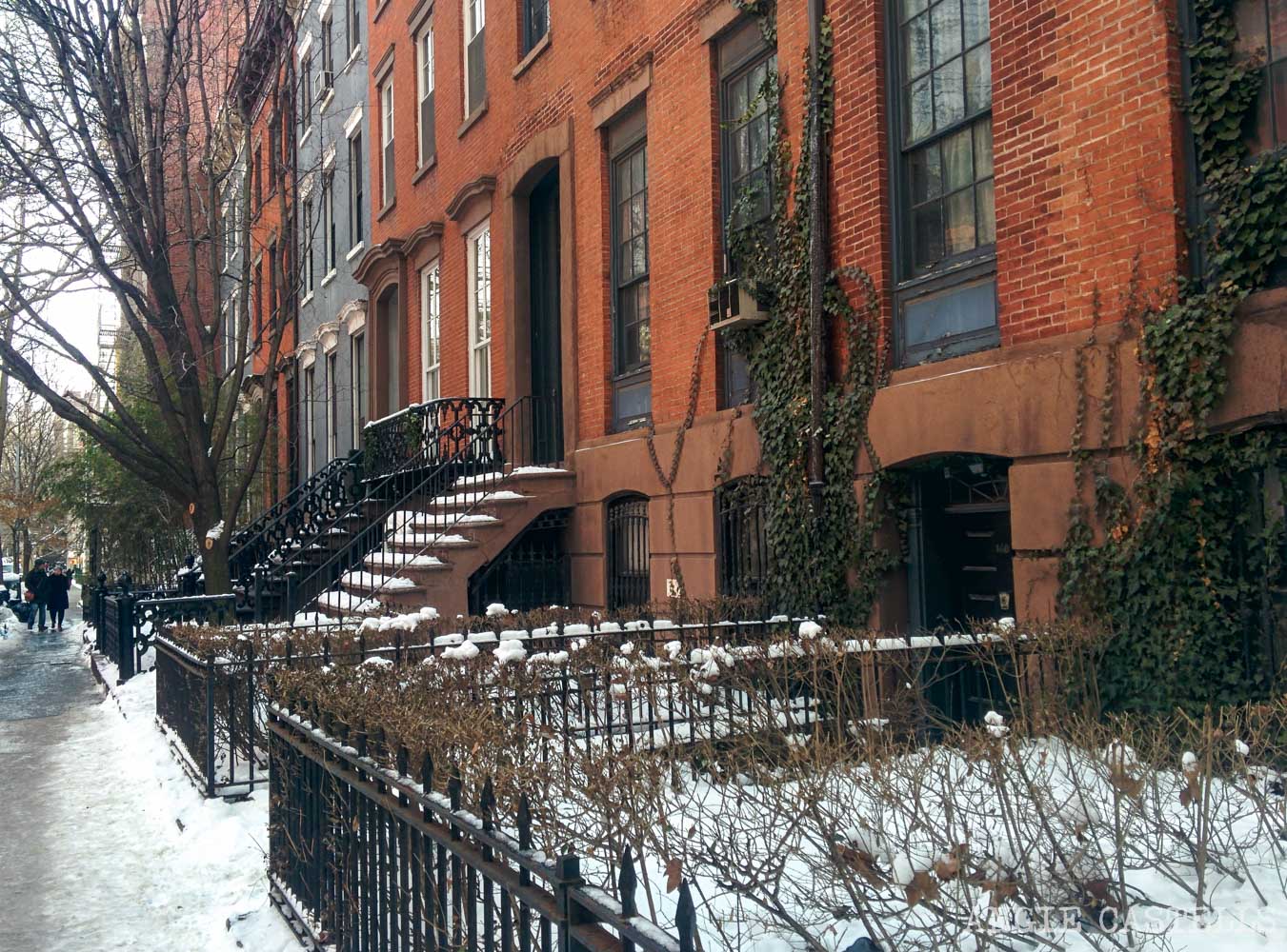Marzo en Nueva York tiempo que hacer