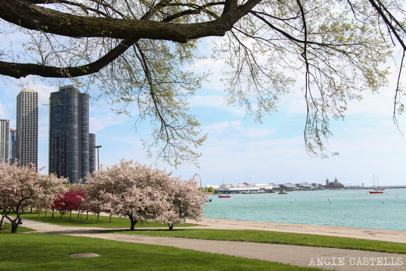 Qué ver en Chicago en dos días - Lago Michigan