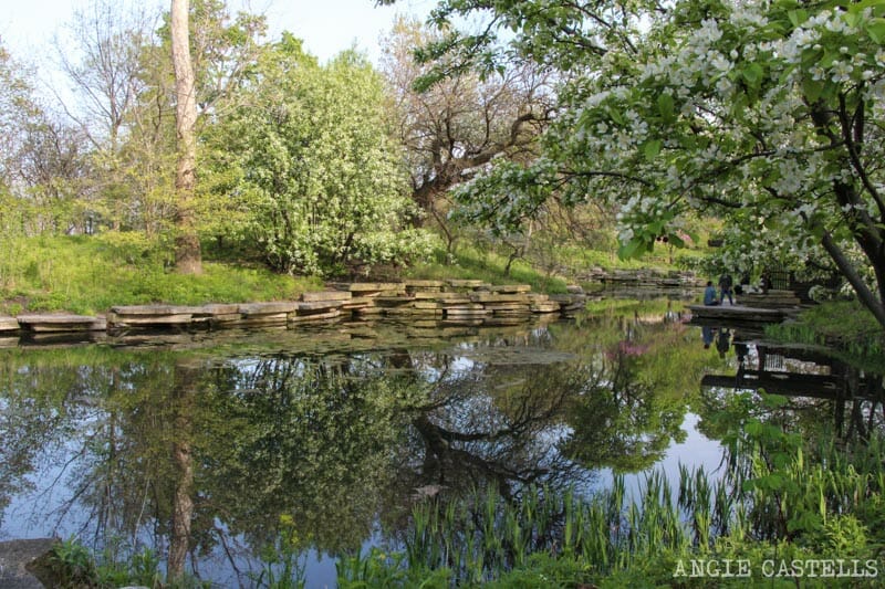 Qué ver en Chicago en dos días - Alfred Caldwell Lily Pool, LIncoln Park