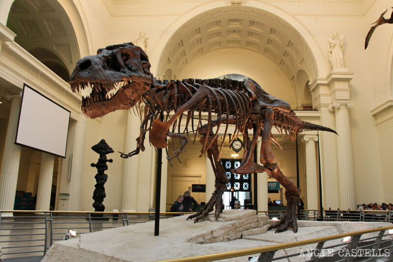 Qué ver en Chicago en dos días - Field Museum
