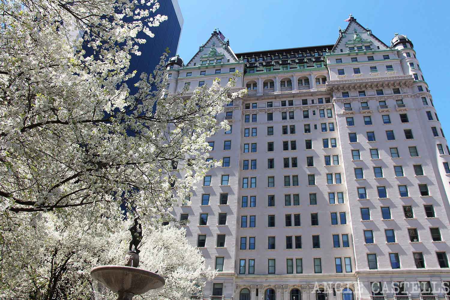 Consejos para encontrar hotel en Nueva York - Plaza