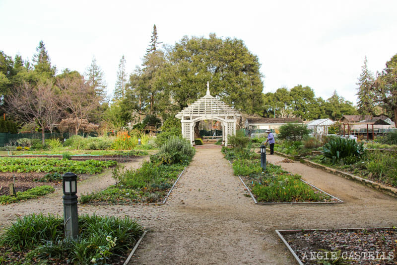 Ruta por Silicon Valley, California - Qué ver en Palo Alto