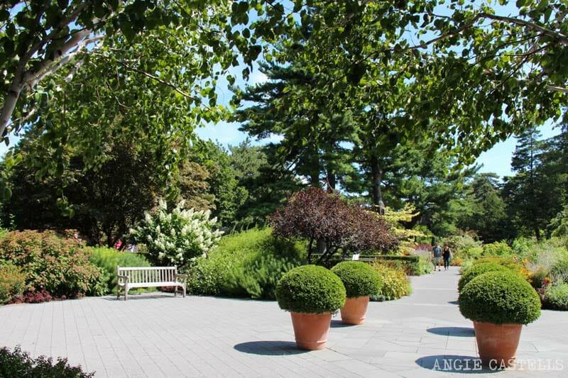 Cómo visitar el Jardín botánico de Nueva York, en el Bronx