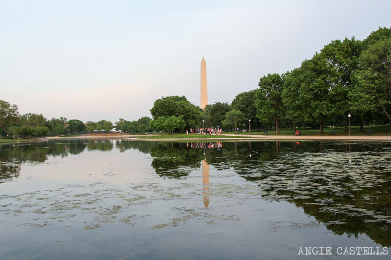 Guia Washington DC Que ver Excursion desde Nueva York Monumento a Washington