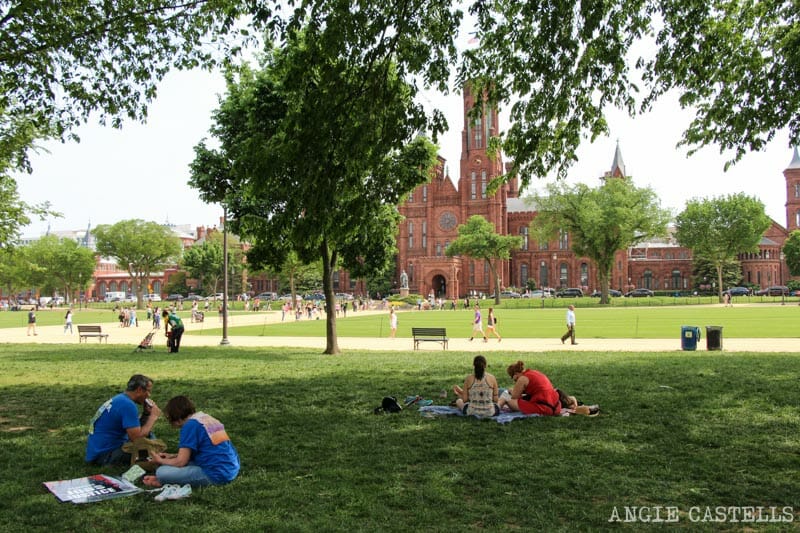 Guia Washington DC Que ver Excursion desde Nueva York National Mall