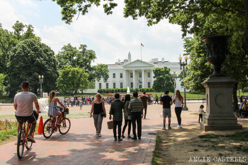 Guia Washington DC Que ver Excursion desde Nueva York White House