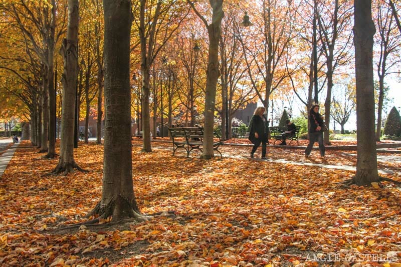 Noviembre en Nueva York Battery Park otoño