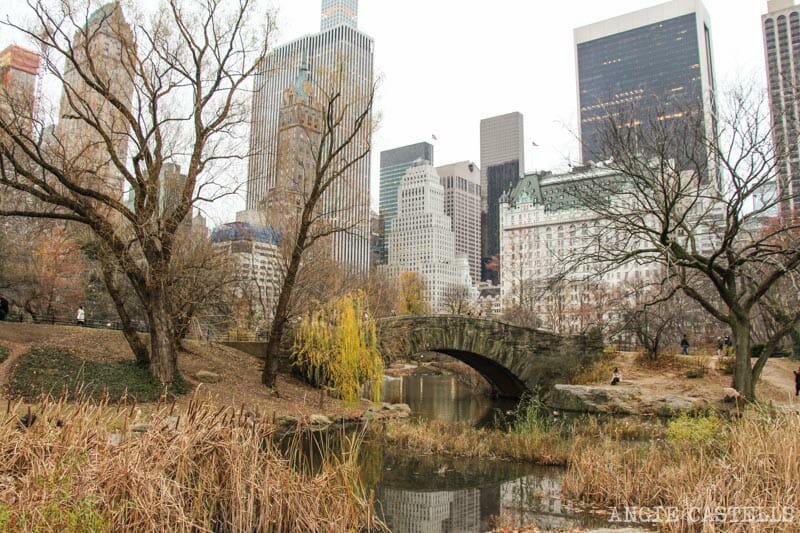 Que-ver-Nueva-York-un-dia-Ruta-Manhattan-Central-Park-Gapstow-Bridge
