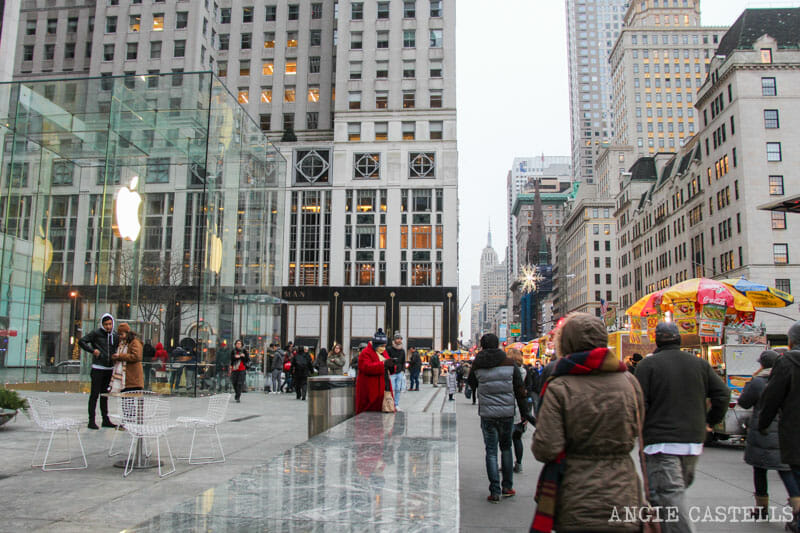 Que-ver-Nueva-York-un-dia-Ruta-Manhattan-Quinta-Avenida