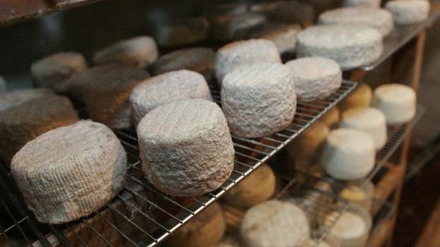Dimanche 13 décembre - Nouvelle matinée Gourmande