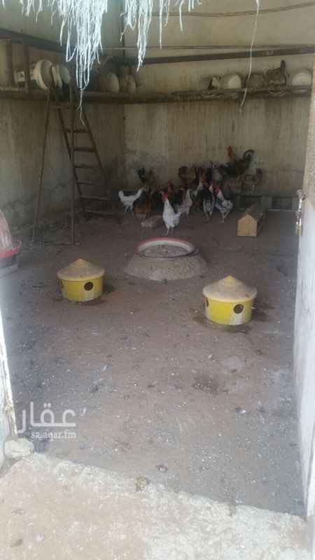 استراحة للبيع فى المملكة العربية السعودية صورة 2