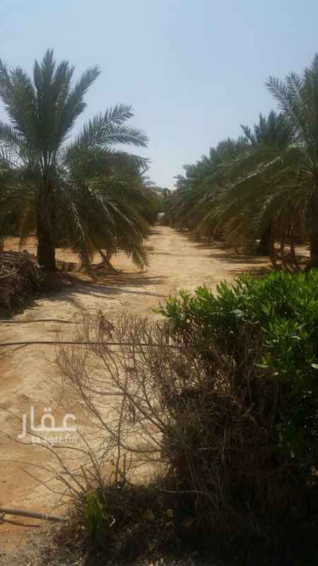 استراحة للبيع فى المملكة العربية السعودية صورة 4