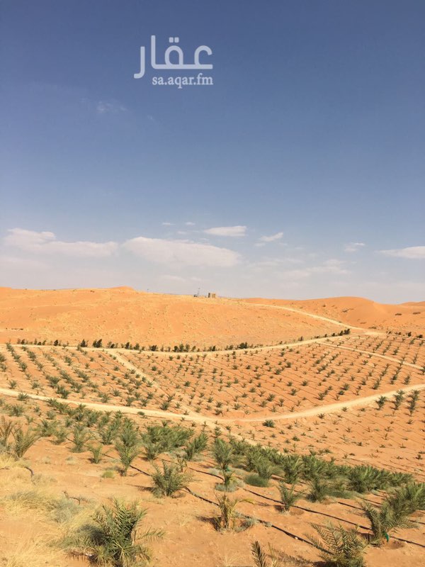 مزرعة للبيع فى طريق مكة المكرمة صورة 1