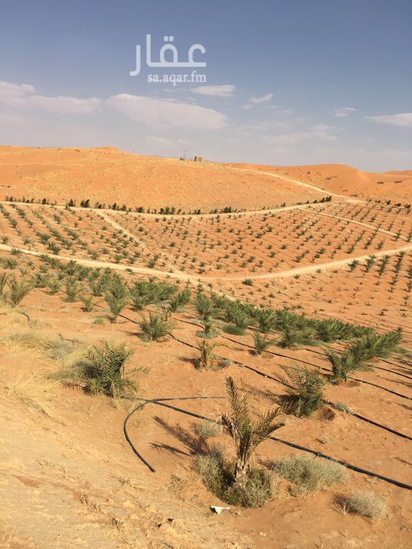 مزرعة للبيع فى طريق مكة المكرمة صورة 2