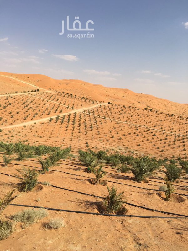 مزرعة للبيع فى طريق مكة المكرمة صورة 3