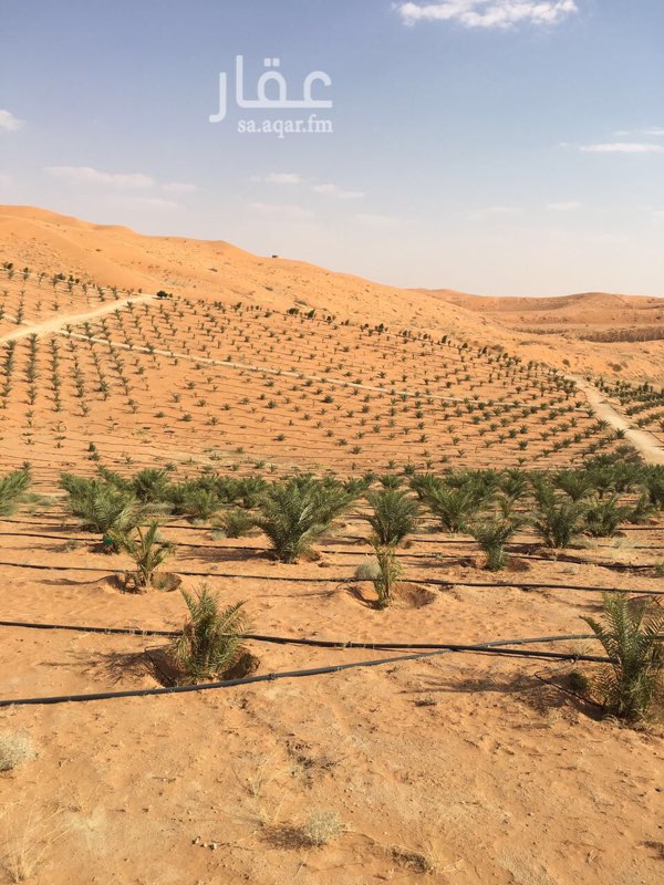 مزرعة للبيع فى طريق مكة المكرمة صورة 4