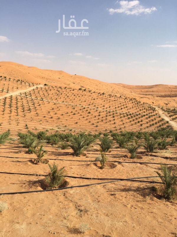مزرعة للبيع فى طريق مكة المكرمة صورة 6