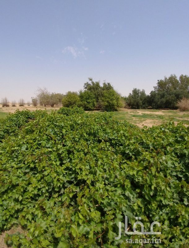مزرعة للبيع فى المملكة العربية السعودية صورة 3