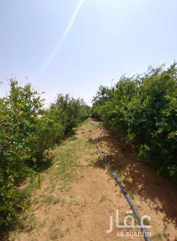 مزرعة للبيع فى المملكة العربية السعودية صورة 5