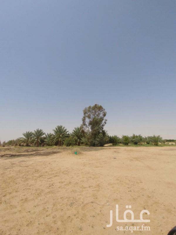 مزرعة للبيع فى المملكة العربية السعودية صورة 7