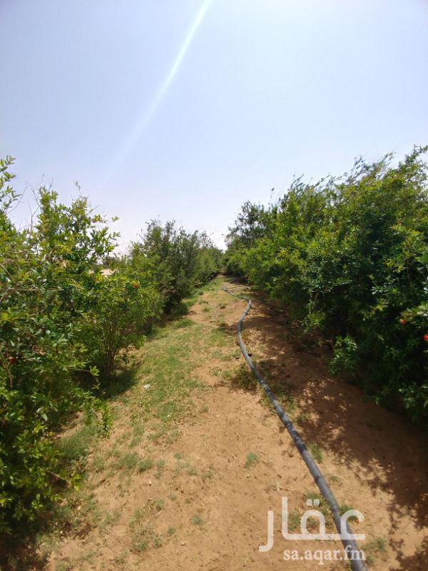 مزرعة للبيع فى المملكة العربية السعودية صورة 11