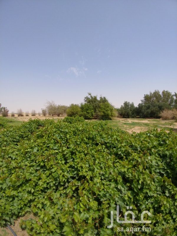 مزرعة للبيع فى المملكة العربية السعودية صورة 16