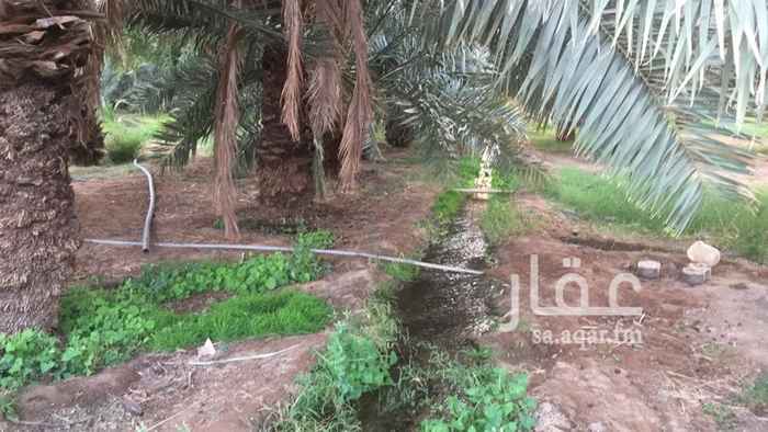 مزرعة للبيع فى المملكة العربية السعودية صورة 5