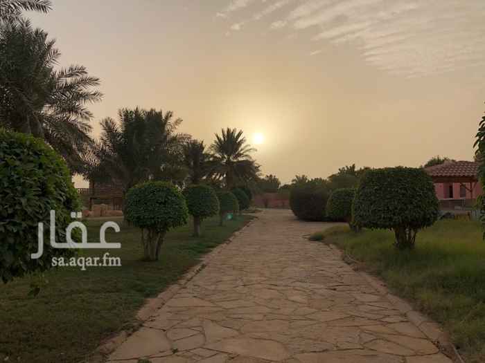 1349137 للبيع أستراحة متظاهرة الشوارع في بنبان على صكين
يوجد محطة تحلية مياه
ويوجد مجالس ومسطحات خضراء ونخل ويوجد حمضيات