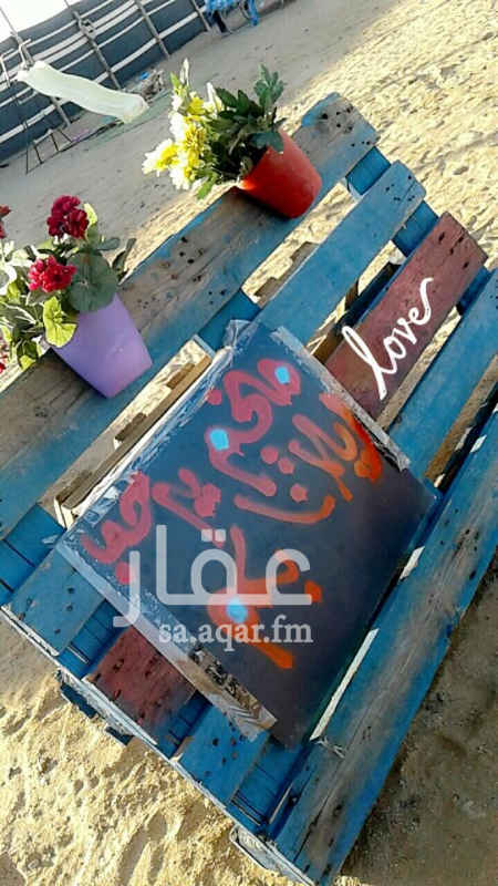 1365204 null