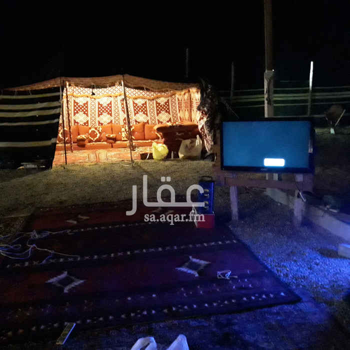 1477628 مخيم وجلسات رائعه للإيجار مرتب ونظيف وألعاب للكبار والصغار للإيجار اليومي أو الشهري بيوت شعر وسيعه جلسات عريش رائعه جلسات خارجيه وسيعه دورات مياه فايبر ومغاسل العاب كبار وصغار فرش نظيف وجديد مطبخ متكامل ملعب طائره مضئ شاشات كبيره براميل مندي المخيم