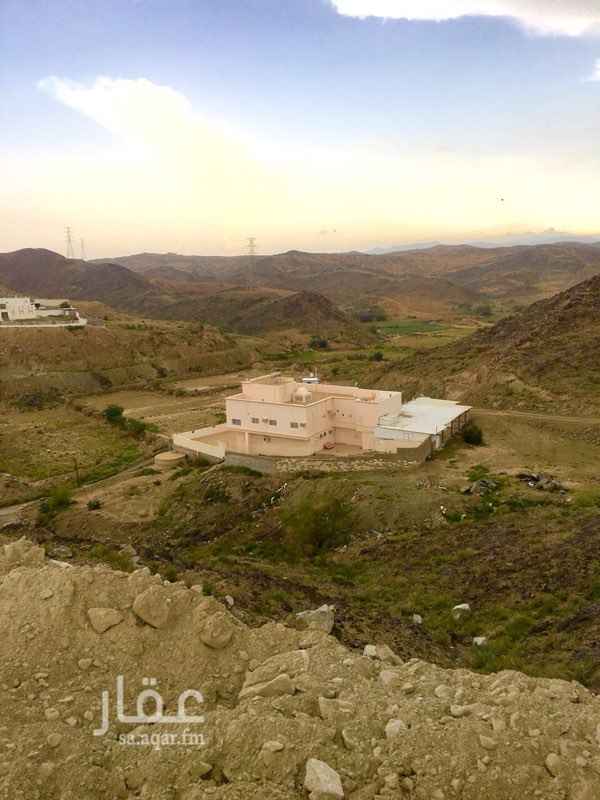 1076453 بيت دورين بقرية المحاله قريب من خط الميه الجديد والبيت يتكون من
١- دور ارضي بثلاثه احواش كبيره واحد منها مغطى بهنقر وعدد الغرف ٥ غرف كبيره وصالتين ومطبخ راكب ومخزن واربع حمامات
٢-دور اول عدد ٩ غرف وصاله ومطبخ راكب وسطح وعدد ٤ حمامات
وامام البيت برحه كبيره مزفلته
كما هو مذكور بالاعلان البيت للايجار ويفضل الشركات مع العلم ان البيت جاهز للسكن
مناسب جدا للشركات
المطلوب ١١٠ دفعتين او ١٠٠ الف دفعه واحده
لتواصل
٠٥٠٠٥٨٦١١٨