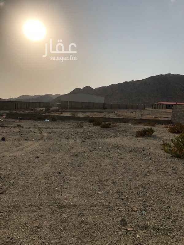 1704128 ارض للبيع الحيانيه مخطط العاصمه 2 الارض بوثيقه عباره عن ارضين ملاصقه لبعض بوثيقه واحده عليها ميده اساس حوش سويت الميده ولم اكمل الحوش الارض ولله الحمد ما عليها مشاكل بجورها زي ماهو موضح في الصور استراحات وواصله لهم الكهرباء السعر ٦٠،٠٠٠ الف والصامل ماراح نقصر معاه مع العلم اني خسران ببيعها بهذا السعر ٣٠،٠٠٠ الف الله لايخسر مسلم سبب البيع مالي فيها حاجه ونقلت موقع العمل