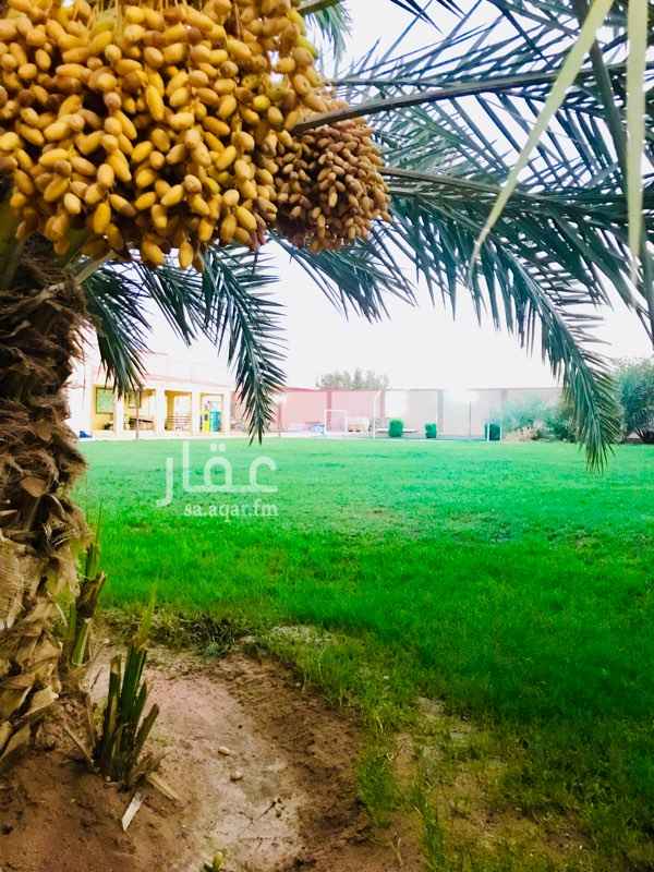 1115977 مزرعة بالعمارية
يوجد بها بئر ماء و لله الحمد
مبنى يشمل على ثلاث غرف نوم و صالة و غرفة نوم بالطابق الاول مطلة على المزرعة.. مع امكانية وضع قسمين للرجال و النساء مستقبلا ..
يوجد بها ٣٠ نخلة و بعض الحمضيات و حضائر اغنام خالية جاهزة للاستخدام ..
يوجد بها ملحق خارج و العاب للأطفال و ملعب كرة قدم للاطفال
قريبة من الخدمات كالتموينات و المطاعم و الصيدليات
السوم ب مليون و اربع مئة الف و البيع قريب و قد يكون بسعر السوم
لمعاينة الاستراحة التواصل على رقم الجوال ٠٥٠١٤٤٤٤٥٦ ابو خليل
ف مرحبا بكم 🌹
