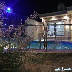 1629156 null