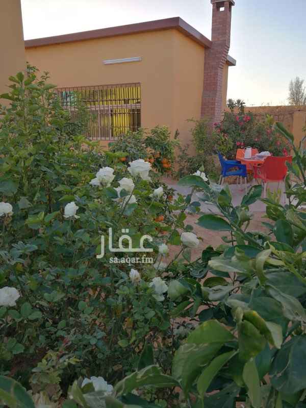 1234171 مزرعة للبيع او للاستثمار ( مدائن صالح )
مساحة 10000 متر مربع مناسبة
كمشروع سياحي او مشاريع اخرى
يوجدبها عدد نخيل 170اصناف
برني / حلوه/ روثانه/ عجوه/اخلاص/ مكتوم/ نبتة علي/ رشوديه/ مجدول/ونانه/ برني العيص/سكري/لبانه/هلالي/الفنخا واصناف اخري
واشجار حمضيات 150 شجره مع اشجار اخرى
يوجد بها بيت دور مؤثث وعدد اثنين ملاحق خارجيه ومسلخ متكامل التكييف اسبلت بالكامل ومؤثثه اثاث فاخر مع مجالس تراثيه وشعبيه
بئر مستقل والري حديث الموقع على بعد 3كلم عن بوابة
المنطقة الأثرية
التواصل : 0566522550