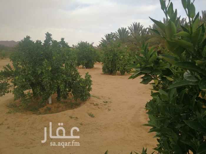 1683977 مزرعه للبيع او للايجار في مدائن صالح الحجر تقع في موقع مميز بالقرب من الخدمات تبعد عن بوابة الاثار 3كيلو مساحتها 10000متر مربع عمرها حول 5سنوات يوجدبها بيت دور مستقل وعدد 2ملاحق مؤثثه بالكامل وتكييف اسبيلت حديث وبها حدود 200 نخل اصناف واشجار حمضيات منوعه واشجار اخرى بير مستقل ري حديث ومنسقه عليها صك مستقل الالكتروني حديث للاستفسار / 0566522550