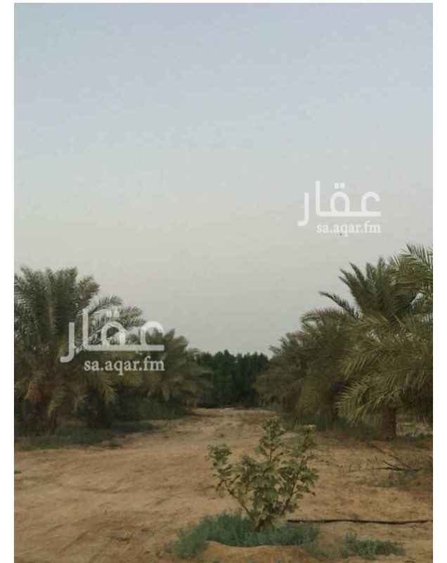 803182 للبيع مزرعه منتجه على طريق الملك عبدالعزيز بالخرج وفيها قصور
