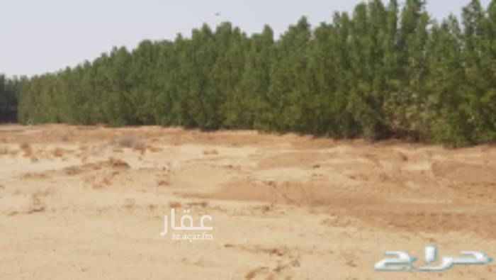 1650901 ارض زراعية في خليص للايجار خاص للشركات قريبة من المخطط وتبعد عن طريق مكة المكرمة المدينة المنورة القديم ١.٥ ك محاطة كاملة باشجار البزرومي بها بئر ارتوازية وكهرباء وطريق مسفلت .