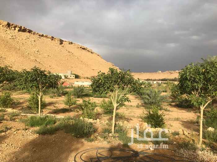 1691496 السلام عليكم
المساحه ٢٧ الف
المساحه مقسمه الى قسمين ٧ الاف مستقله
و ٢٠ الف مستقله يفصلها مجرا الوادي
وكل الجزأين لها اطوال على الشارع
تبعد عن الدائري مخرج ٣٦ كيلو ونص تقريبا
المويه طيبه
موجود كهرباء
وفيها غطاس بوصه ونص
يوجد اشجار ونخيل في جزأ منها
المساحه المزروعة تقريبا ٧ الاف متر مربع