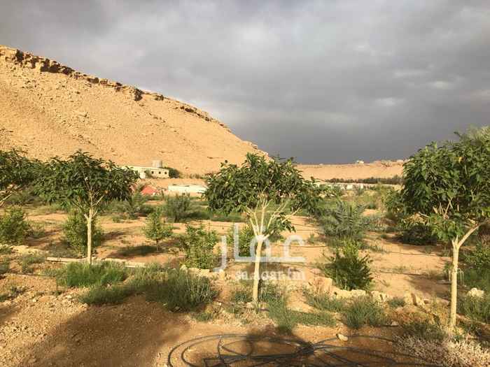 1692809 السلام عليكم
المساحه ٢٧ الف
المساحه مقسمه الى قسمين ٧ الاف مستقله
و ٢٠ الف مستقله يفصلها مجرا الوادي
وكل الجزأين لها اطوال على الشارع
تبعد عن الدائري مخرج ٣٦ كيلو ونص تقريبا
المويه طيبه
موجود كهرباء
وفيها غطاس بوصه ونص
يوجد اشجار ونخيل في جزأ منها
المساحه المزروعة تقريبا ٧ الاف متر مربع