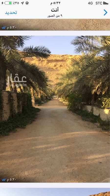 1719011 مزرعة
تقع في وادي المهديه احد روافد وادي حنيفه ، تبعد عن جامعة الملك سعود 10كم ، مساحتها على الطبيعة 73 الف متر مربع وفي الصك 60 الف متر مربع ينقص حوالي الفين متر مربع ، يحدها الوادي بطول 550 متر جنوبا ومن الشمال والغرب الجبل بطول 700م ومن الشرق ارض شعيب ابا الخنفس بطول 210م ، فيها اربع آبار وما ماؤها وفير واحد آبارها حلو ، يوجد فيها 500 نخله منوعه من اصناف جيده واشجار حمضيات منوعه ، فيها استراحة على شكل خيمه ، وفله كبيره مشيدة على ربوه تطل على كل المنطقه وج