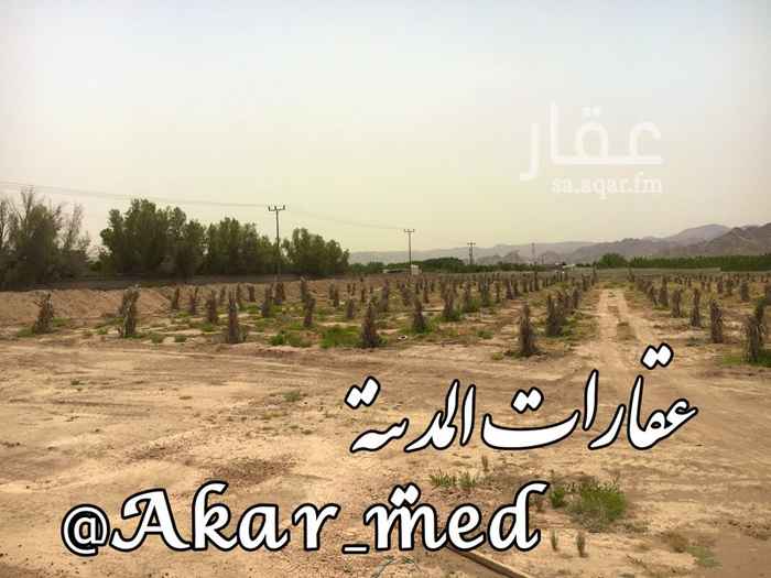 1550454 أرضين متجاورتين
على 3 شوارع (20م)
بصك إلكتروني زراعي
الاولى/ بها قرابة 590 صنو عجو (غرس الميزان)
بها بئر يحتاج إعادة ترميم (وهي حاليا لاتحتاج لبئر)
المساحة : 30 ألف متر
الثانية/ أرض فضاء ملاصقة لها لمن أحب أنجم
المساحة : 30 ألف متر
🎖*المميزات:*🎖
قريبة من المجرى قرابة 700 م
قريبة من طريق ملل العام (50م)
💦 الماء بالمنطقة متوفر جدا 💦
⛱المنطقة مأهولة وجميلة للاستجمام⛱
الموقع: قريبة من المدينة 20 دقيقة فقط (26كم)
